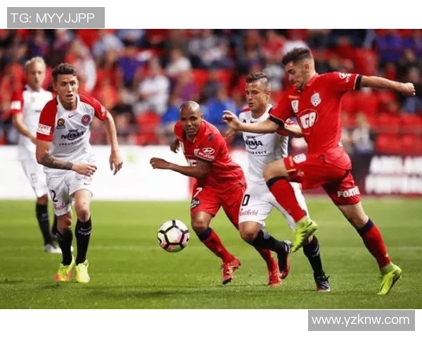 阿德莱德联与悉尼精彩对决视频直播全程回放与分析